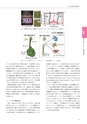 情報通信研究機構年報