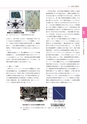 情報通信研究機構年報