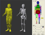 写真: 数値人体モデルデータベース