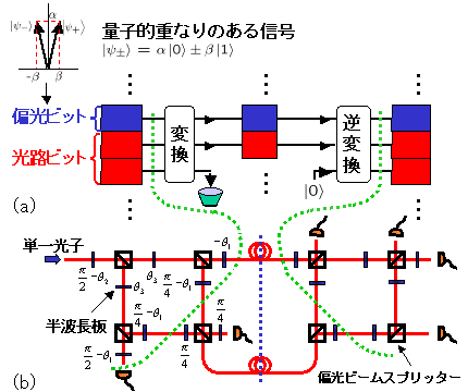  図２. (a)3ビット量子信号圧縮・復元の概念図。 (b)単一光子信号の圧縮・復元精度テスト実験回路。