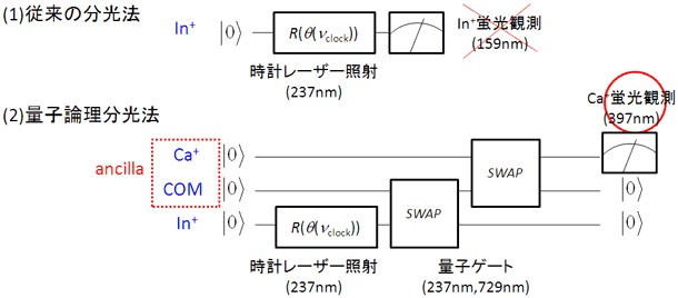 図4. Ca+を用いたIn+の量子論理分光 図4. Ca+を用いたIn+の量子論理分光