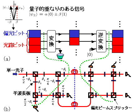 図２. (a)3ビット量子信号圧縮・復元の概念図。 (b)単一光子信号の圧縮・復元精度テスト実験回路。