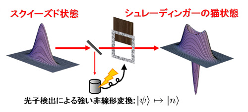 図：スクイーズド状態の分枝