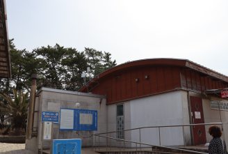 image11 image11