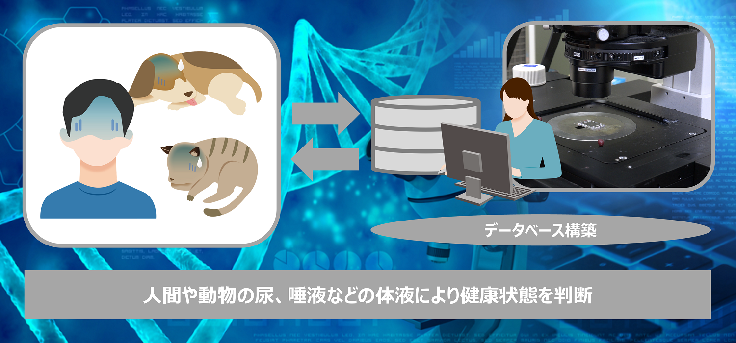 Biosensor_application