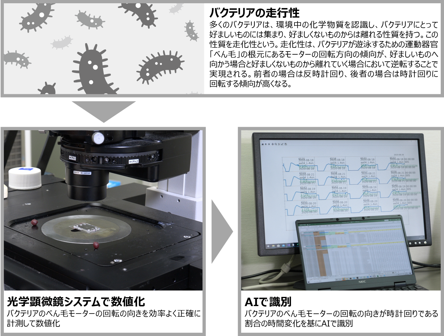 Biosensor_structure